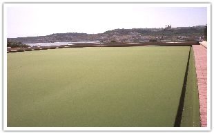 Mellieha Bay Hotel Bowling Green
