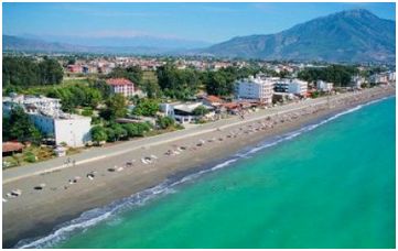 turkey